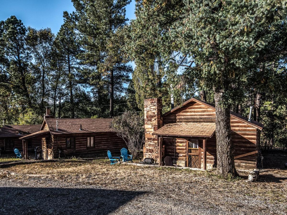 Destiny Cabin, 2 Bedrooms, Fireplace, Midtown, Sleeps 7 鲁伊多索 外观 照片