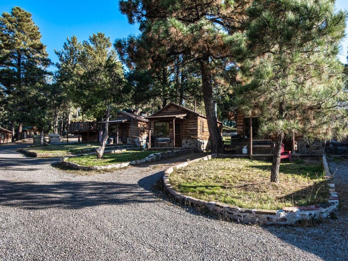 Destiny Cabin, 2 Bedrooms, Fireplace, Midtown, Sleeps 7 鲁伊多索 外观 照片