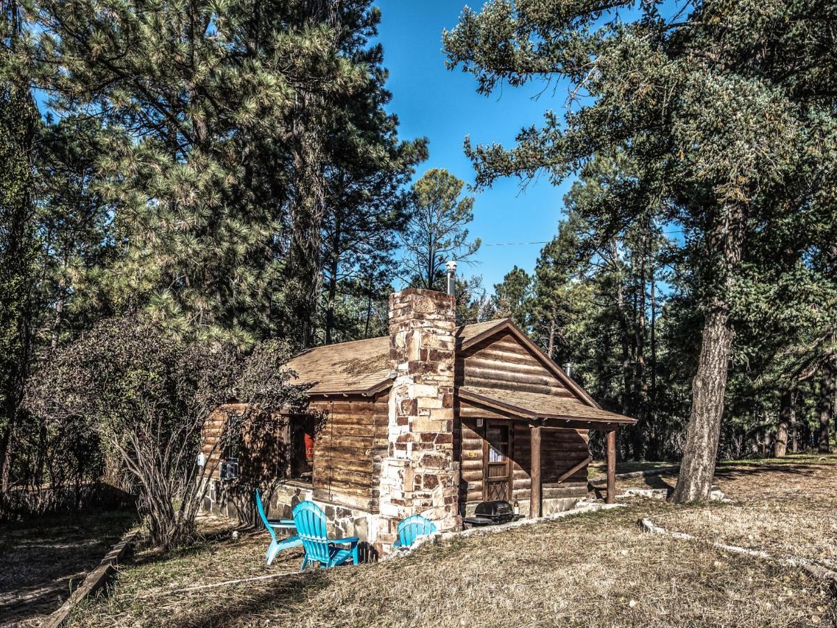 Destiny Cabin, 2 Bedrooms, Fireplace, Midtown, Sleeps 7 鲁伊多索 外观 照片